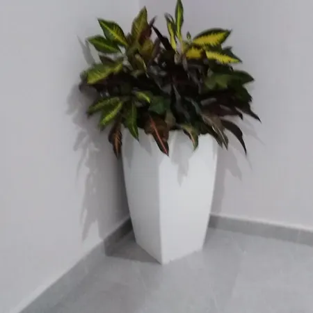 מלון דירות 7 Islands 3*