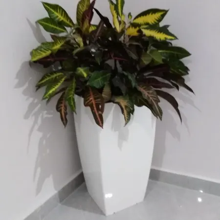 7 Islands 3* Alykes (Zakynthos)