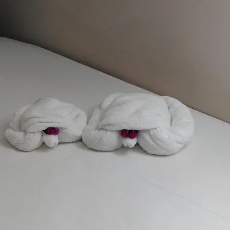 7 Islands Hotel de apartamente Alykes (Zakynthos)